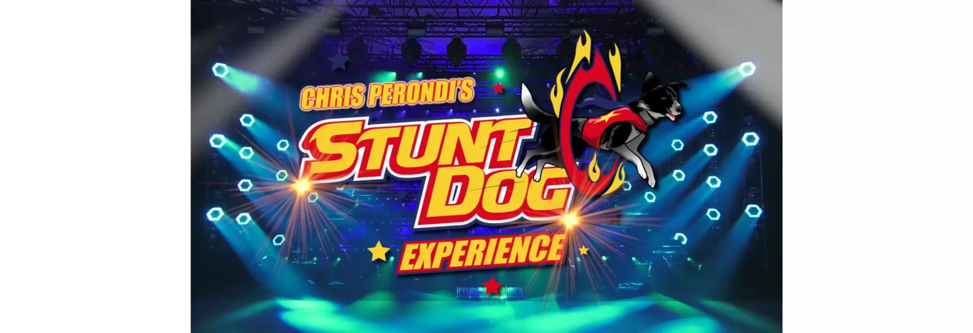 Stunt Dog Experience